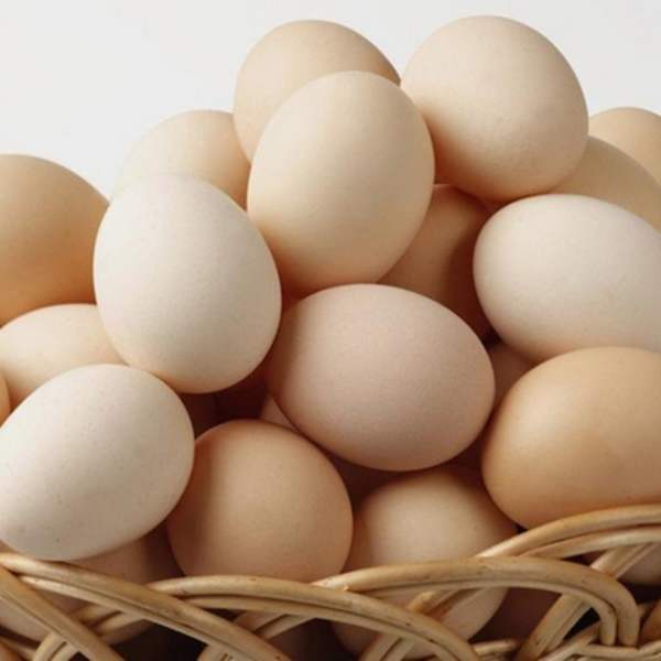 農(nóng)家(jiā)土(tǔ)雞蛋
